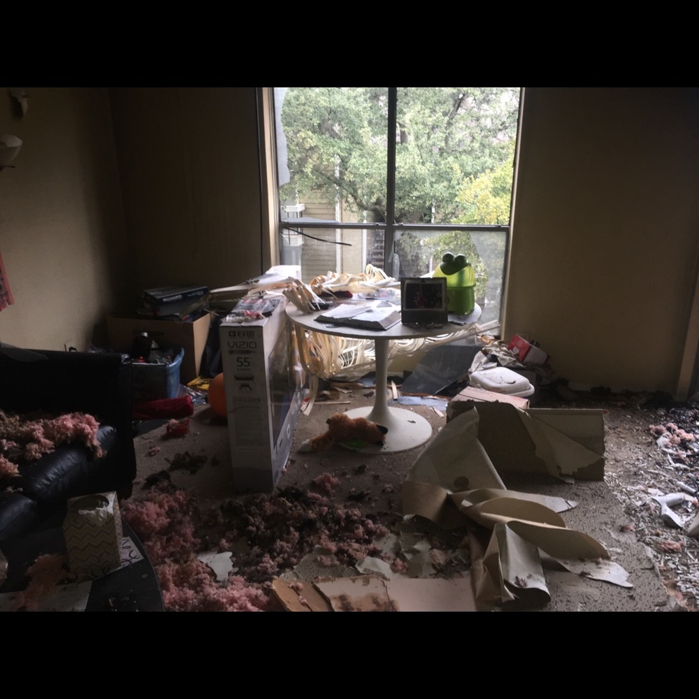 🔥 Fire Recovery! All sales going to my gofundme - Picture 5 of 8